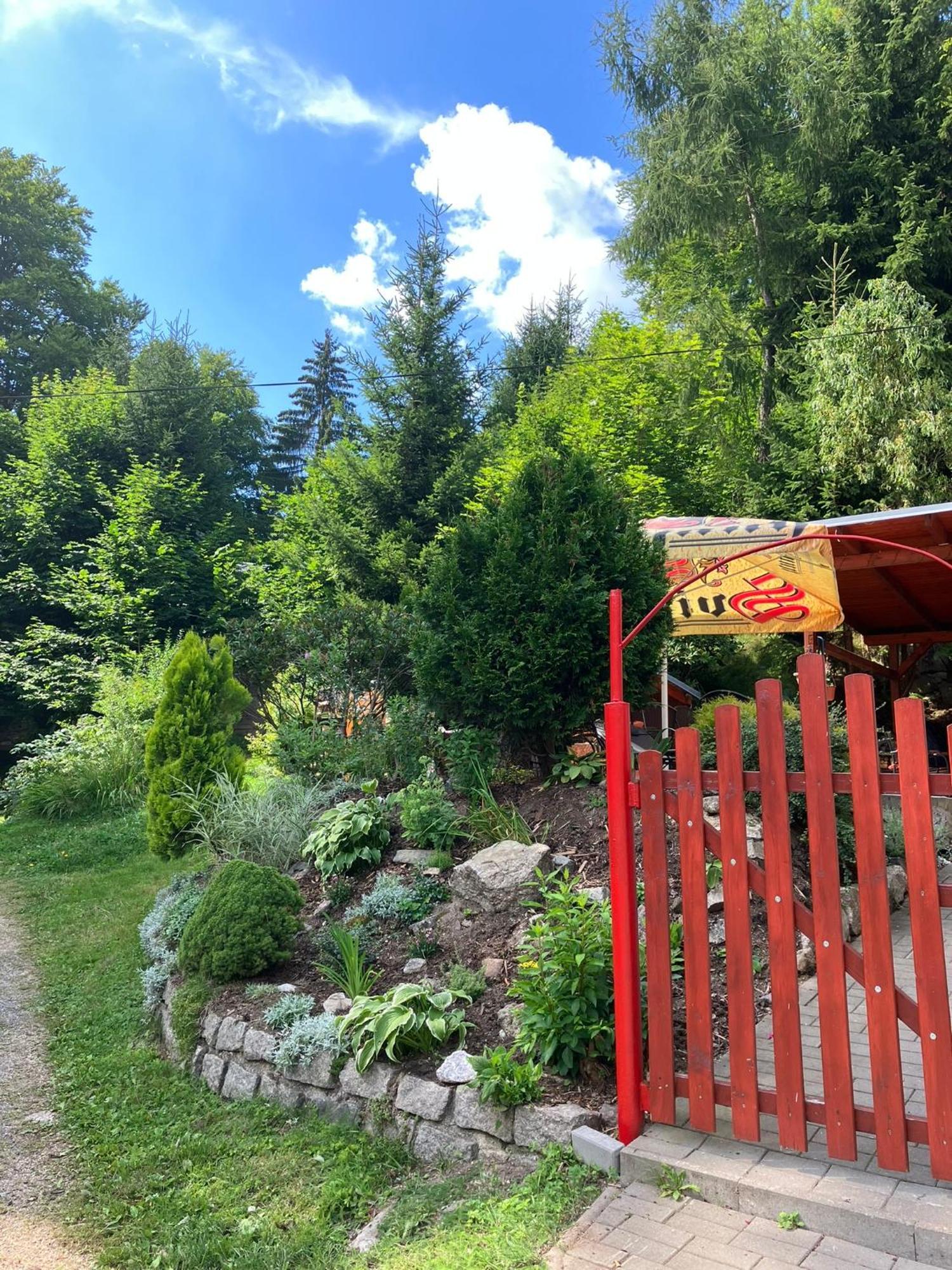 Chata Tereza Hotel Janov nad Nisou Exterior foto